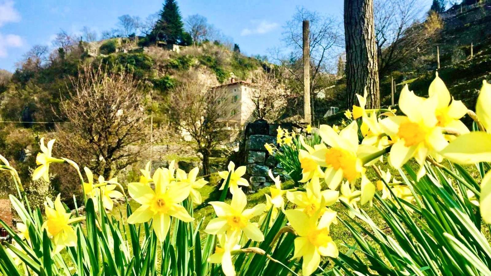 La Casa Sulla Collina Del Castello Villa Breno Dış mekan fotoğraf